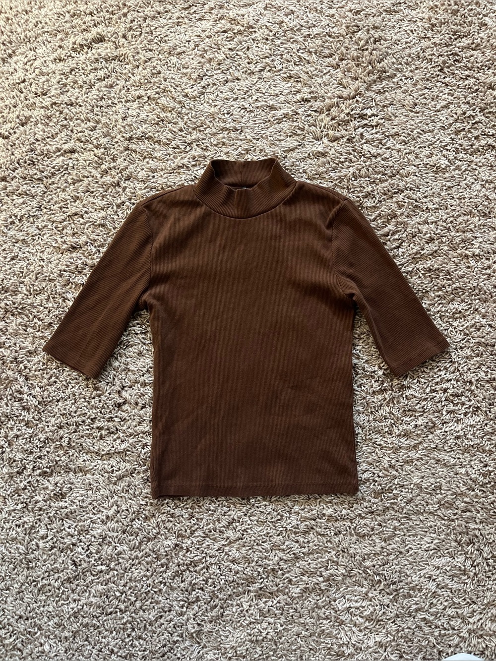 Zara Brown Mock Neck Short Sleeve Top